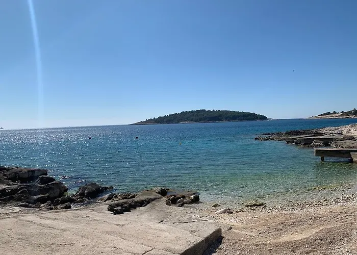 Ana روغوزنيكا