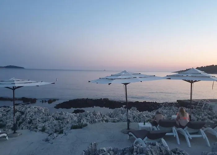 Ana روغوزنيكا